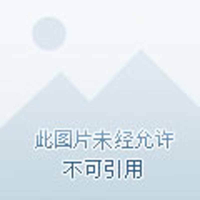 热力四射的重庆火锅店:城市味蕾的新宠